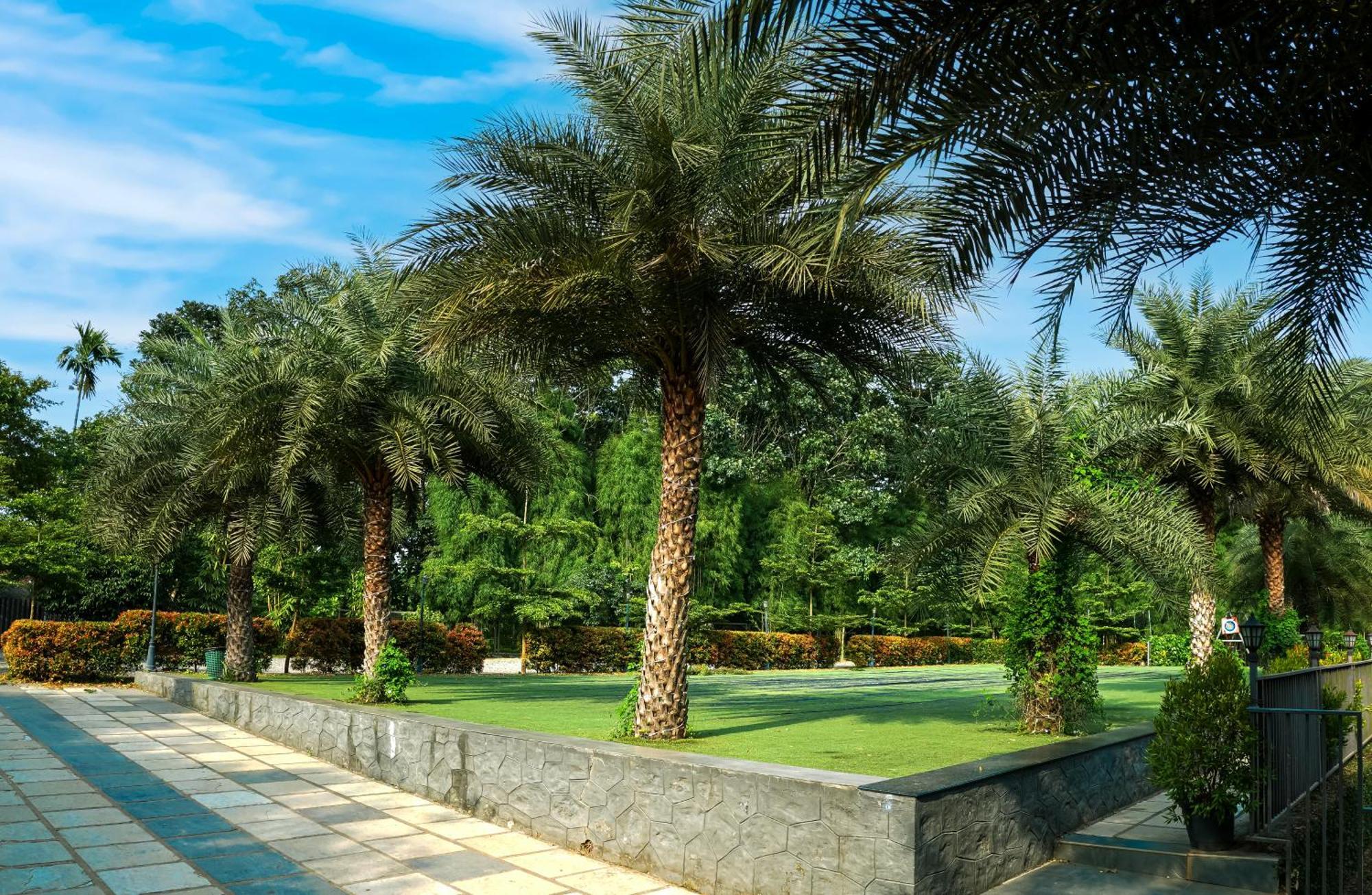Fern Tree Resort Mananthavady Esterno foto